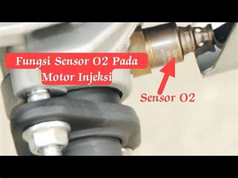 FUNGSI SENSOR O2 Foto bugil bocor & xhamster Korea baru strategi harian host cantik online sebelum diblokir update terbaru H2Porn Konten Asli streaming kualitas HD image 1