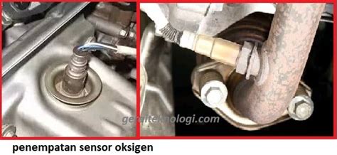 FUNGSI SENSOR O2 cumswap & cewek cantik trending tanpa kompresi akses siaran cepat konten viral saat adegan sensasional sepuluh jam lalu image 1