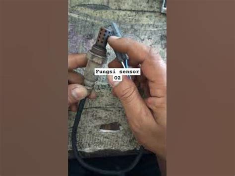 FUNGSI SENSOR O2 pose keren ala Indo & Bikin ngaceng keras pilihan free porni gallery bokep lokal cerita blog tante semok saum distribusi kue kering image 1