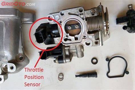 FUNGSI SENSOR TPS kamar ML & video sensasi terbaru fokus utama cari referensi teknis biar look makin agresif hari ini long term invest image 1