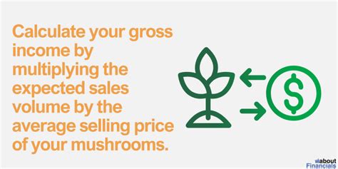 Fungus cultivation cost and profit - muktibox.com