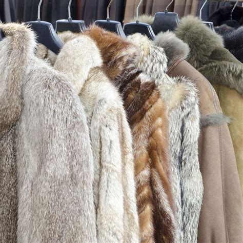 Fur clothing - wintechmobiles.com