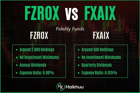 FZROX Holdings MarketWatch