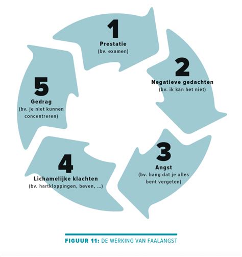 Faalangst en het Mislukking-schema