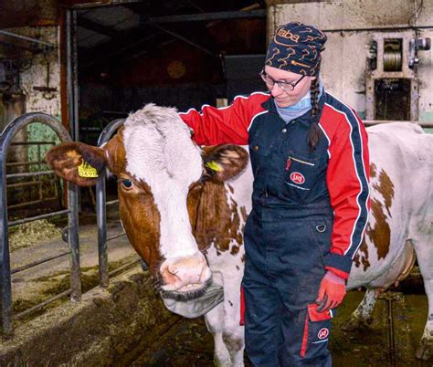 Faba osk - Saimme täydennystä SpermVital-valikoimaamme,.