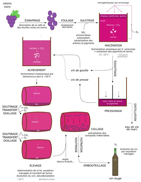 Fabrication du vin pdf