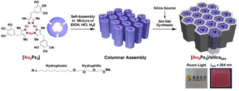 Fabrication of mesoporous silica-covered gold nanostars for ...