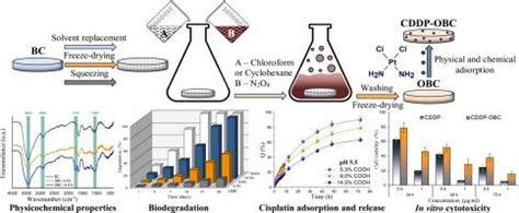 Fabrication of oxidized bacterial cellulose by nitrogen dioxide in ...