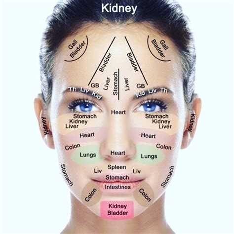Face Acupressure Points Chart