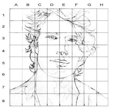 Face Drawing Grid