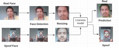 Face Liveness Detection Via OpenCV And Tensorflow - KickerAI