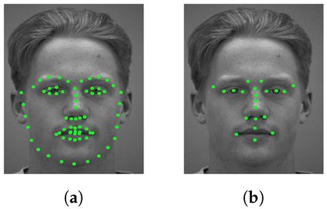 Face Recognition With Local Zernike Moments Features Around.