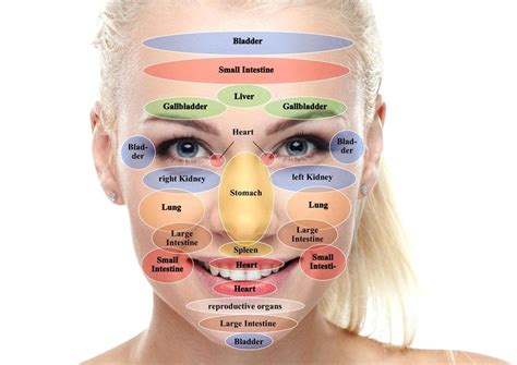 Face Reflexology Chart Pressure Points