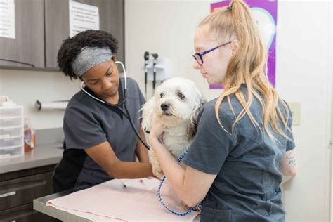 Face animal clinic indianapolis. Things To Know About Face animal clinic indianapolis. 