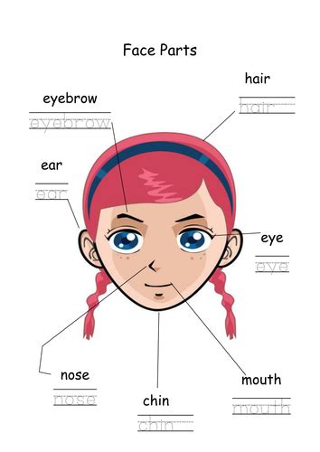 Face body parts - Teaching resources