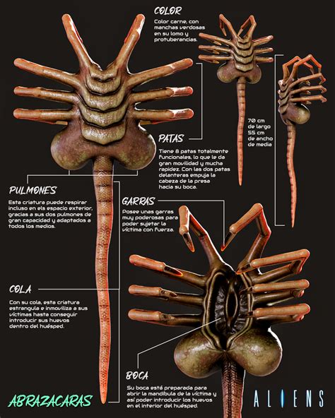 Face hugger alien porn
