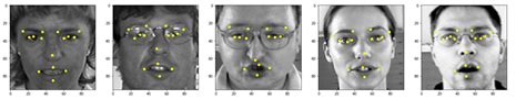 Face landmark detection keras.  We'll require a GPU Hardware accelerator for training the...