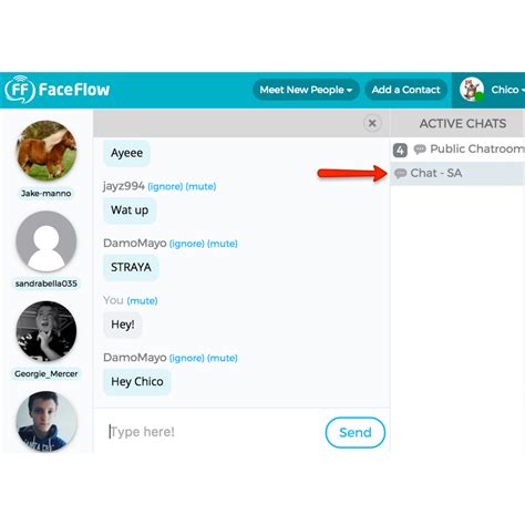 FaceFlow Alternatives and Similar Software
