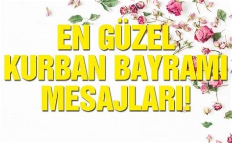 genssuffweb.rgarabwor.edu.pl. 