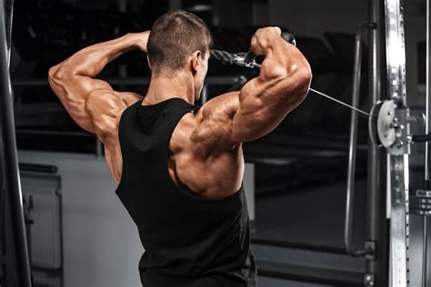 Facepull. Rope Face Pull. Sets 2 Reps 15-20. This exercise targets the muscles in the upper back, including the rear delts, mid traps and rhomboids. Reverse Pec Deck. Sets 2 Reps 15-20. Here, you want to focus on isolating the rear delts as much as possible. 