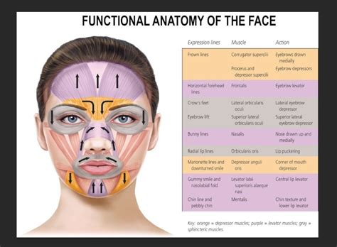 Facial Compiation Onlyfans Leak