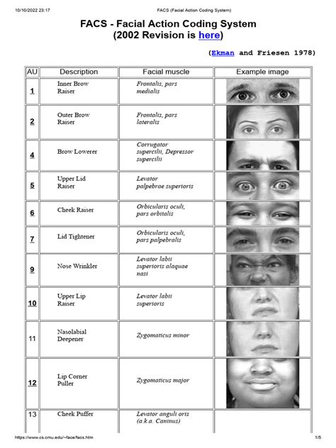 Facial coding book.  FACS is used to objectively measure FACS, Abk. Das 1978 zuers...