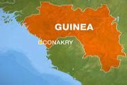 Factbox: Guinea