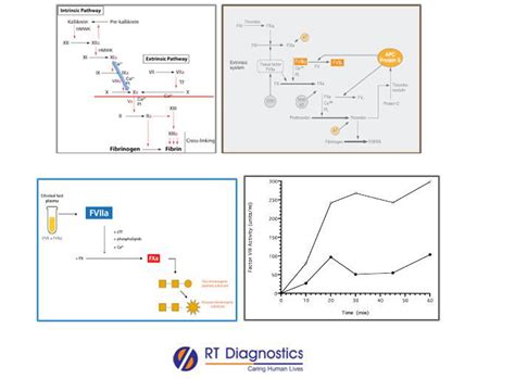 Factor VIII Activity RT Diagnostics