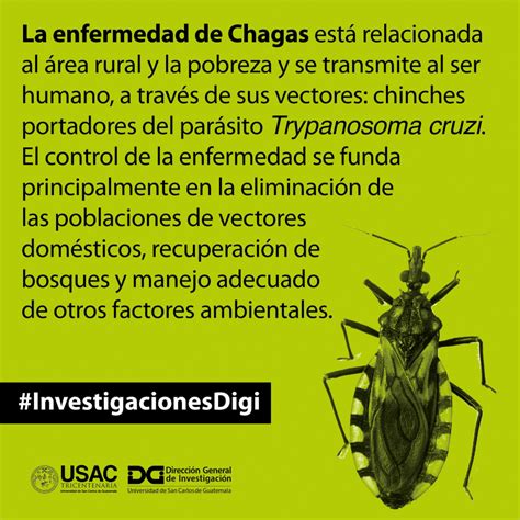 Factores biológicos y ecológicos en la enfermedad de chagas. - The sages manual operating through the endoscope.