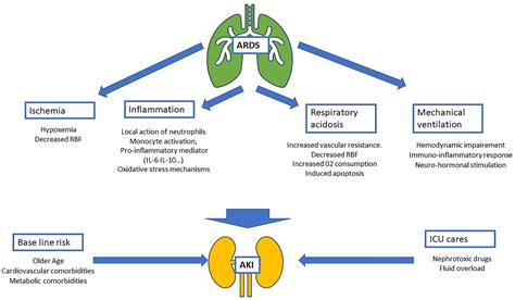 Factors associated with acute kidney injury in acute respiratory ...