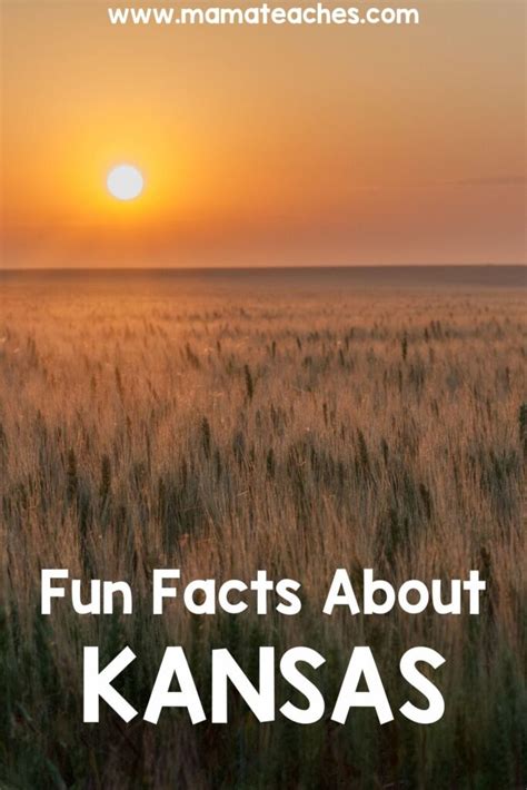 Learn about the history, geography, culture, and attractions of the Sunflower State with these fun facts. Discover why Kansas is famous for wheat, sunflowers, and …. 