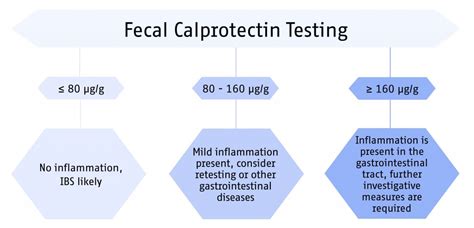 Faecal Calprotectin Test for IBD and IBS Differentiation