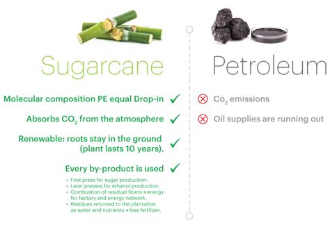 Fagron Derma Concept’s sustainable sugar cane packaging