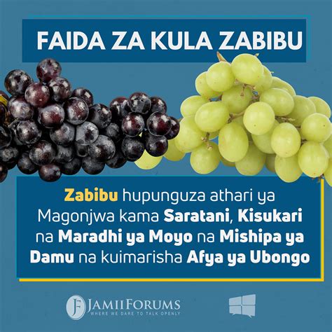 Faida za kula bamia kiafya JamiiForums