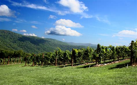 Fainting Goat Vineyards and Winery Official Georgia Tourism …