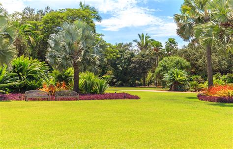 Fairchild tropical botanic. Views At Fairchild Garden. This 83-acre tropical garden is located today on valuable real estate in Florida’s Coral Gables community. It was created by forward-looking naturalists starting in 1936 when … 
