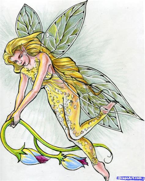 Fairies Drawings