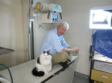 Fairport animal hospital. Things To Know About Fairport animal hospital. 