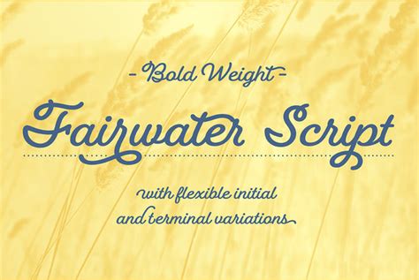 Fairwater Script Font YouWorkForThem