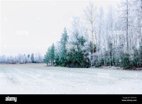 Fairytale_Snow Onlyfans Leak [PPV] 🍆 244 Vids