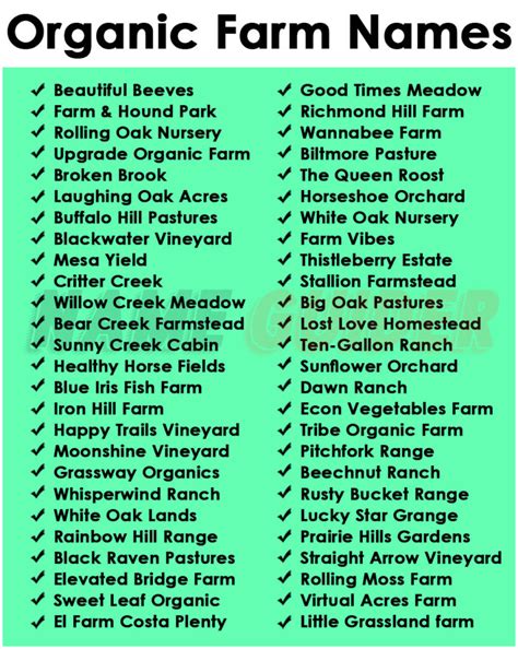 Faith based farm names.  2.  Use these to generate ideas to write down on a piec...