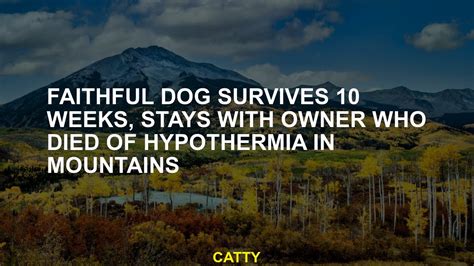 Faithful dog survives 10 weeks, stays with owner who died of hypothermia in Colorado mountains