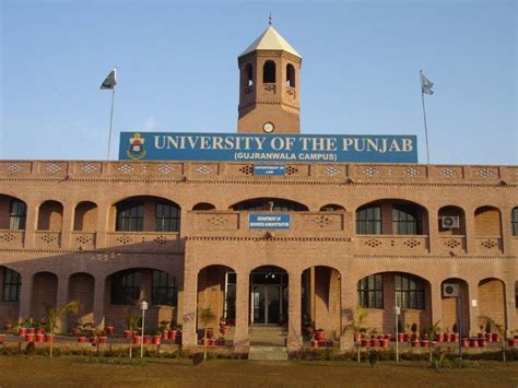 Faizan Arshad - University of the Punjab - Gujranwala, Punjab, …