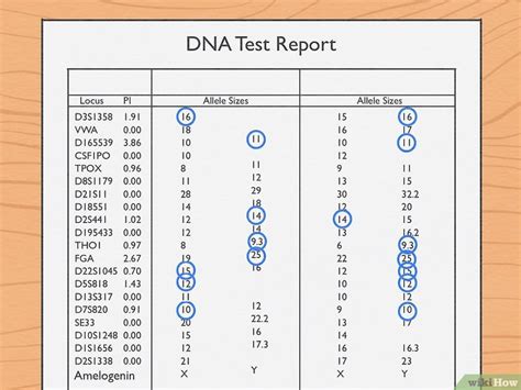 Fake Paternity Test Fake DNA Testing