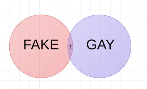 Fake and Gay