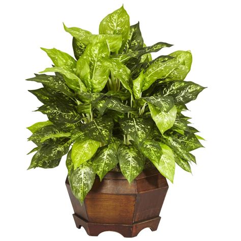 Fake plants lowes. 60-in Green Indoor Areca Artificial Tree. LCG. 78-in Green Indoor Bird Of Paradise Artificial Tree. LCG. 36-in Green Indoor Fiddle Leaf Artificial Plant. LCG. 38-in Green Indoor Fiddle Leaf Artificial Plant. LCG. 30-in Green Indoor Fiddle Leaf Artificial Plant. 