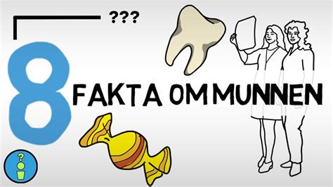 Fakta om munnen