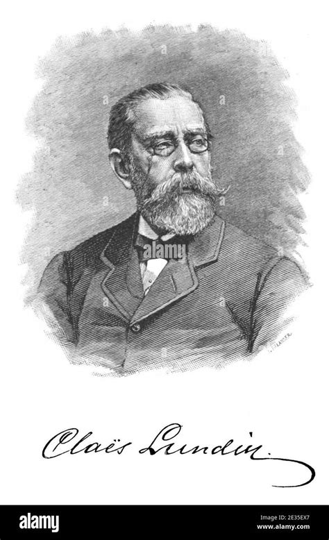 Falander Sidelinker.