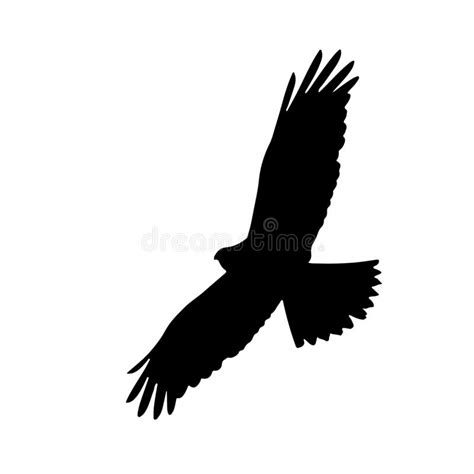 Falco Volante Vettoriale