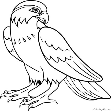 Bird Coloring Book Page